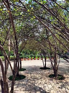 Kunming - Parc Cuihu - 60